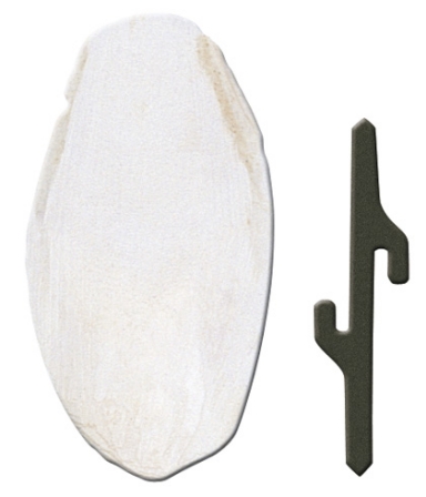 Ferplast PA 4330 SMALL - кость каракатицы  для попугаев