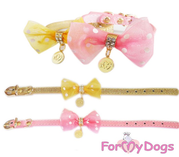 For My Dogs Ошейник золотой 08-FW2011 (1,0&#215;25 см)
