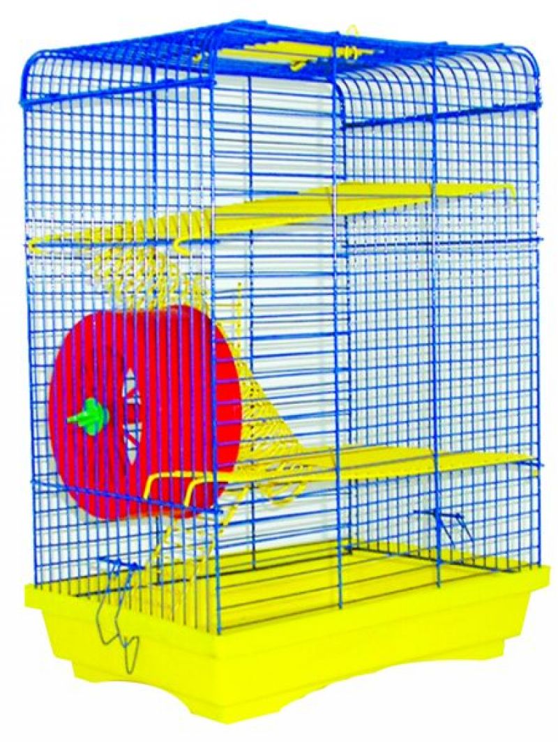 Лори Хомяк-3