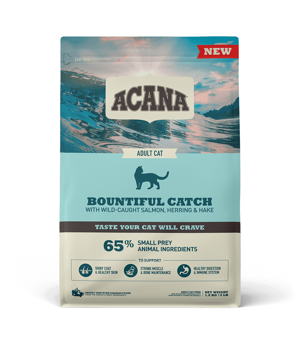 ACANA Adult Cat Bountiful Catch сухий корм з лососем, фореллю і оселедцем для дорослих котів - 1,8 кг