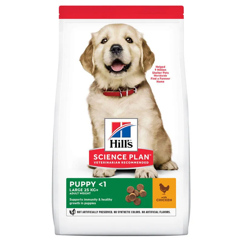 Hill's Science Plan Puppy Large with Chicken сухий корм з куркою для цуценят собак великих порід – 14,5 кг