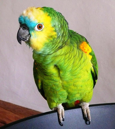 Мен жұмыста ренжіп қалдым