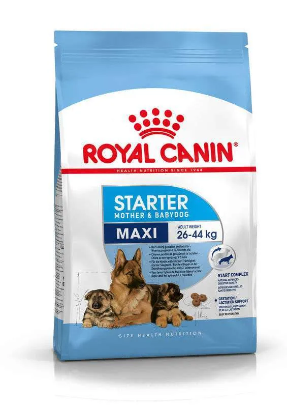 Royal Canin Maxi Starter Mother & Babydog сухой корм для щенков и кормящих собак больших пород – 4 кг