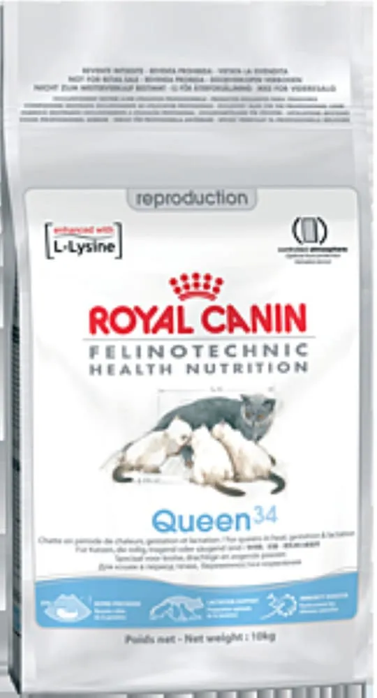 Royal Canin Queen сухой корм для кошек во время беременности – 4 кг