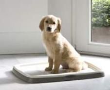 Savic Туалет для собак PUPPY TRAINER Large