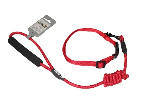 AnimAll комплект ошейник с поводком для собак, M, 1×120 см/27-42 см, красный