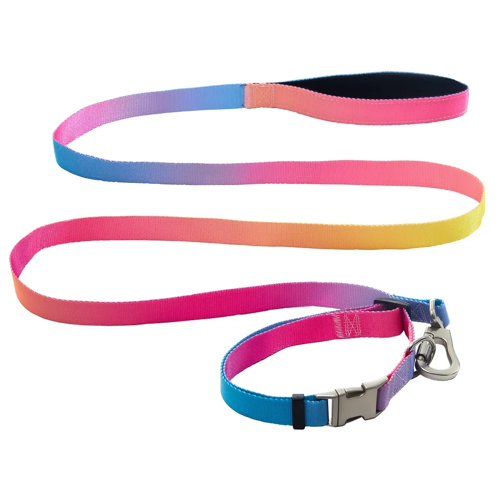 AnimAll Набор (ошейник + поводок), panton 1, 25/420-520/1800 мм