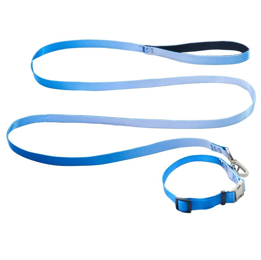 AnimAll Набор (ошейник + поводок), panton 3, 15/300-400/1800 мм