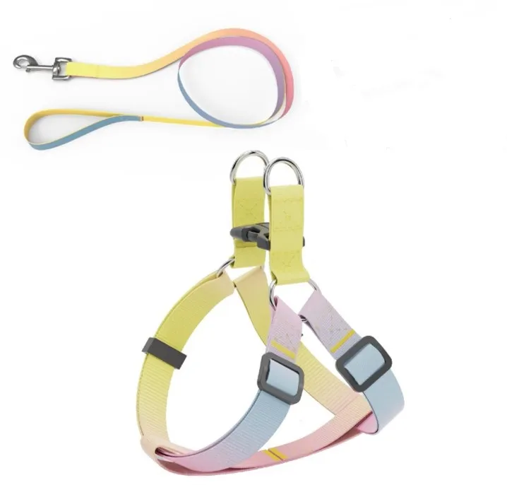 AnimAll Набор (шлей + поводок), panton 2, 10/250-300/1800 мм