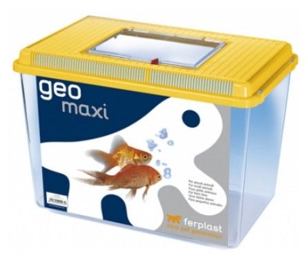 Ferplast GEO MAXI - контейнер для рыб и амфибий разноцветная - 21л