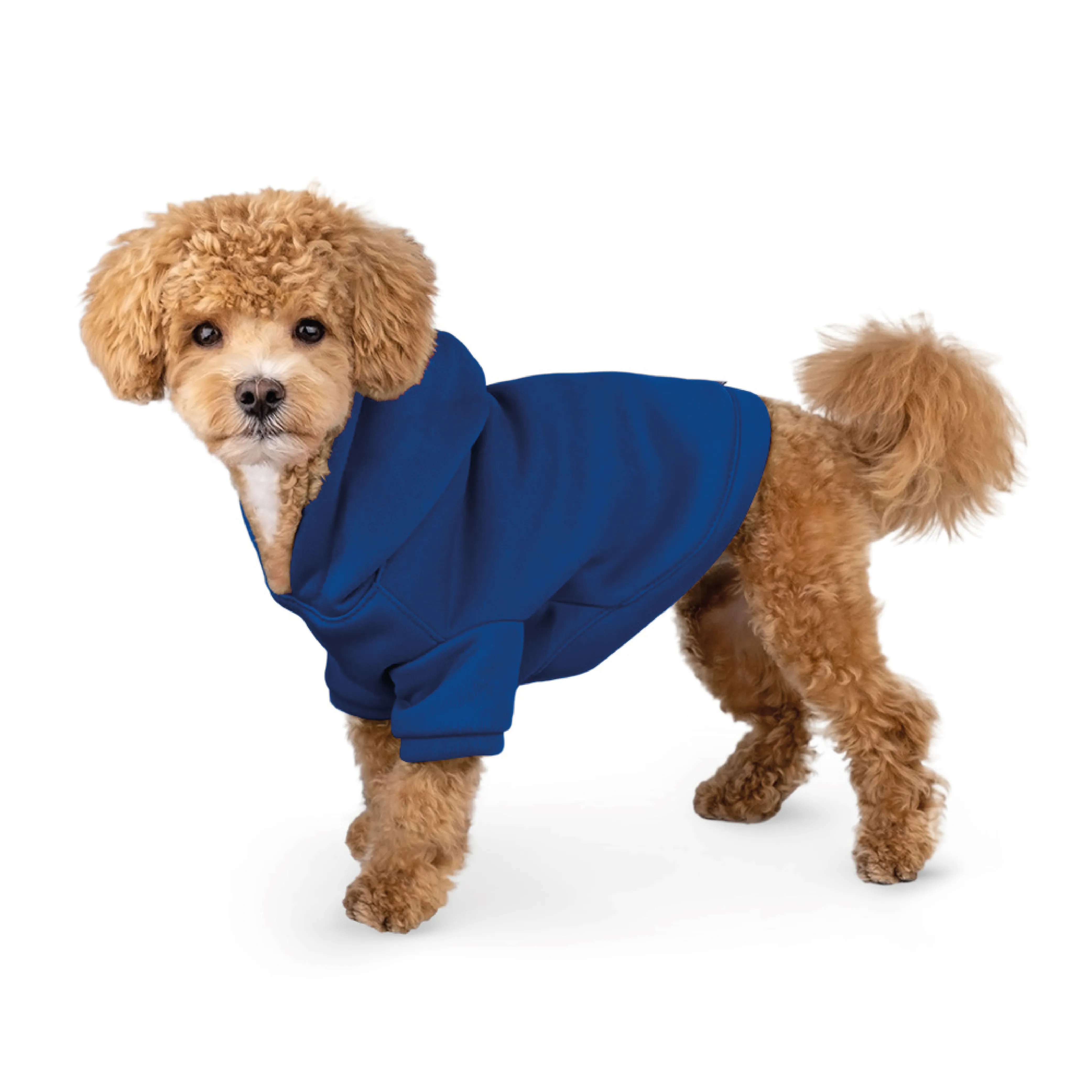 BARKSI Textile Худые для собак Синий 2XS