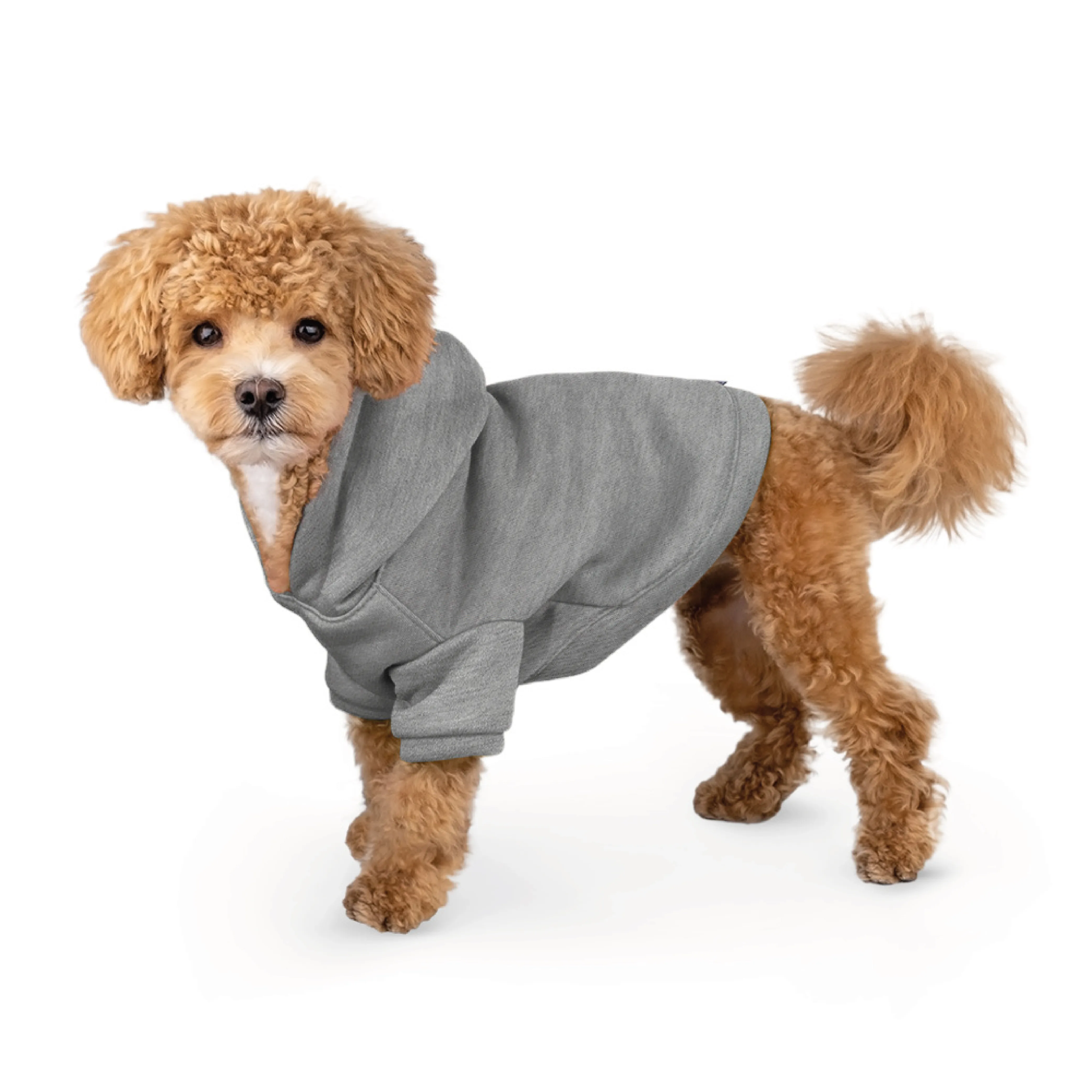 BARKSI Textile Худые для собак Серый S