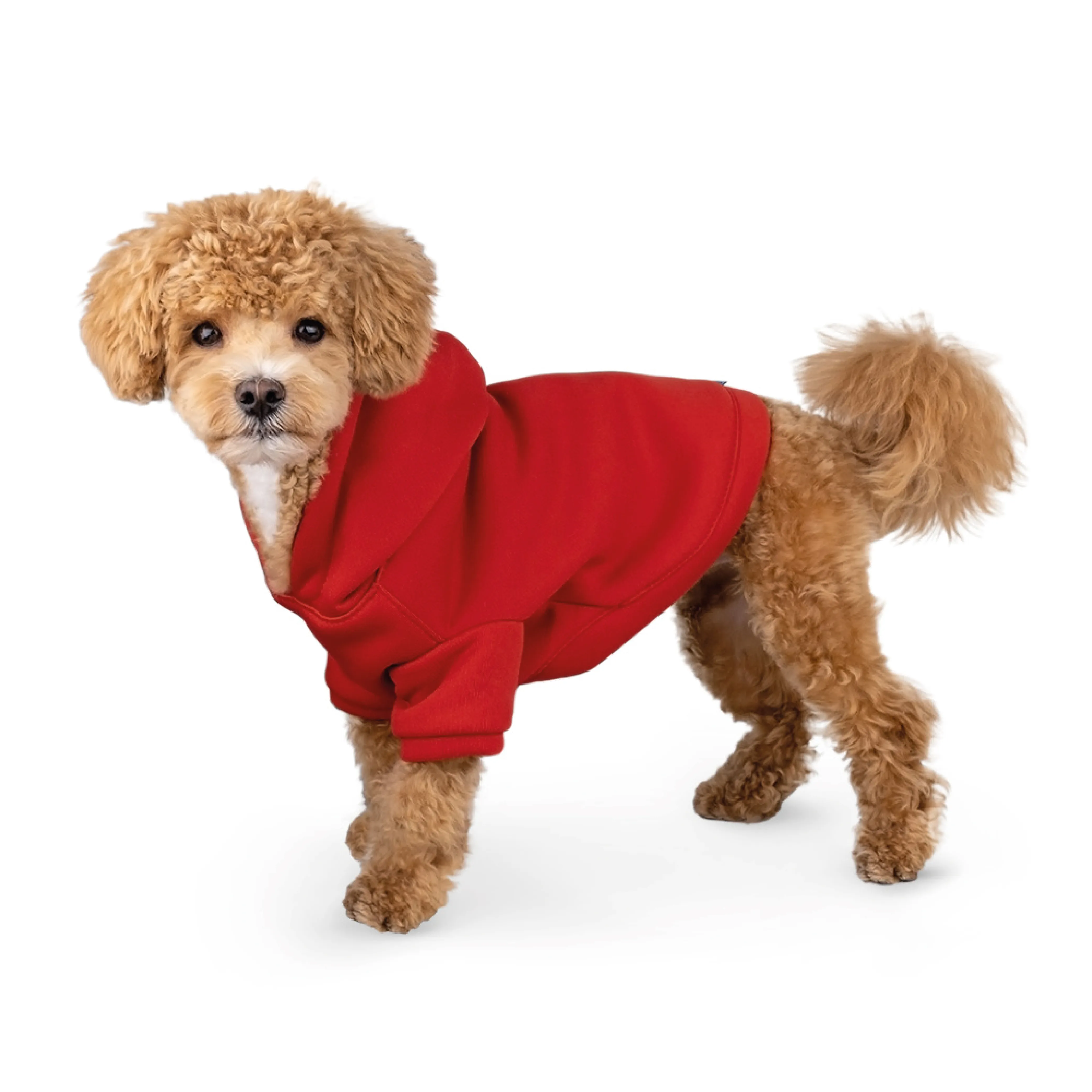 BARKSI Textile Худые для собак Красный XL
