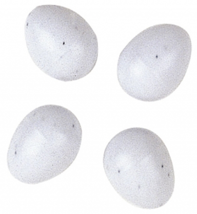 Ferplast FPI 4310 - яйця для папуг (x4)