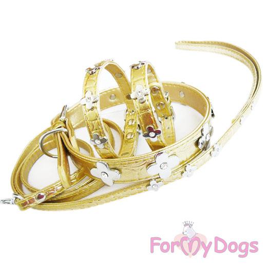 For My Dogs Ошейник золотой 02-FW2011 (2,0*45 см)