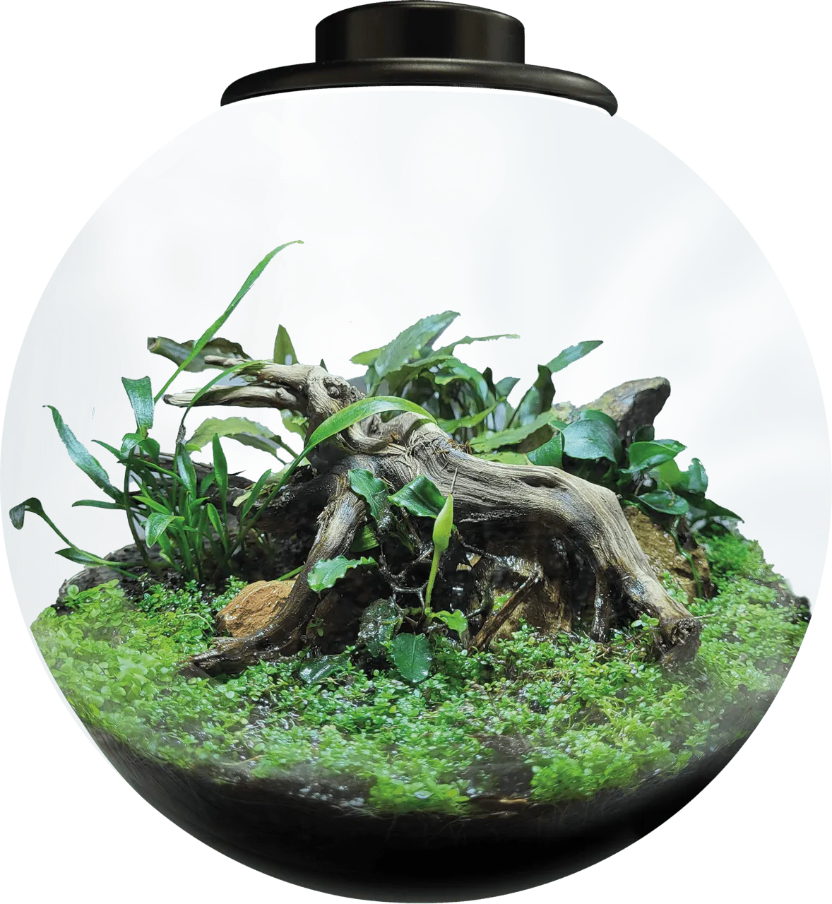 BioArt BOWL 225 BLACK аквариумный набор, 5,1 л