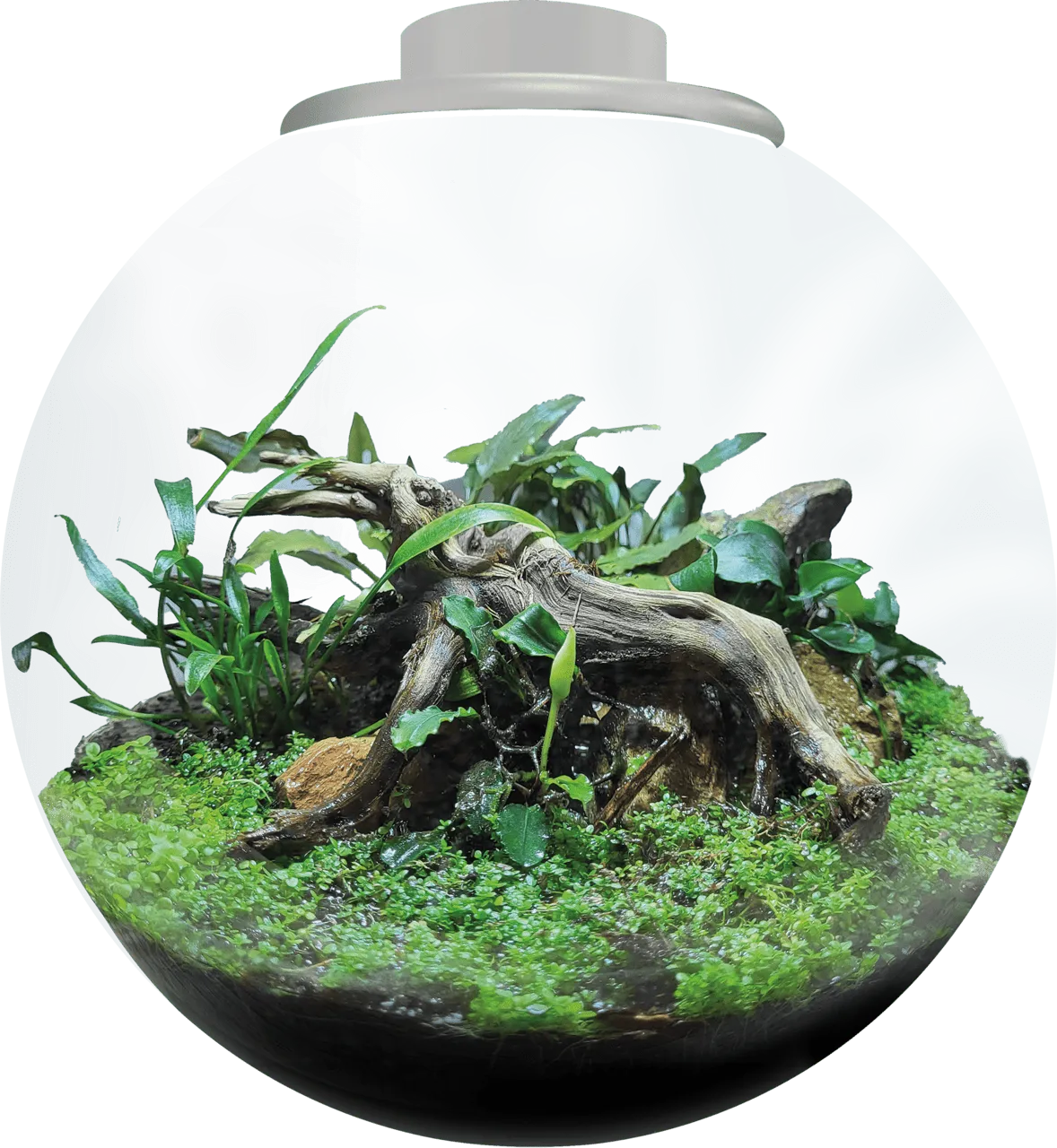 BioArt BOWL 225 WHITE аквариумный набор, 5,1 л