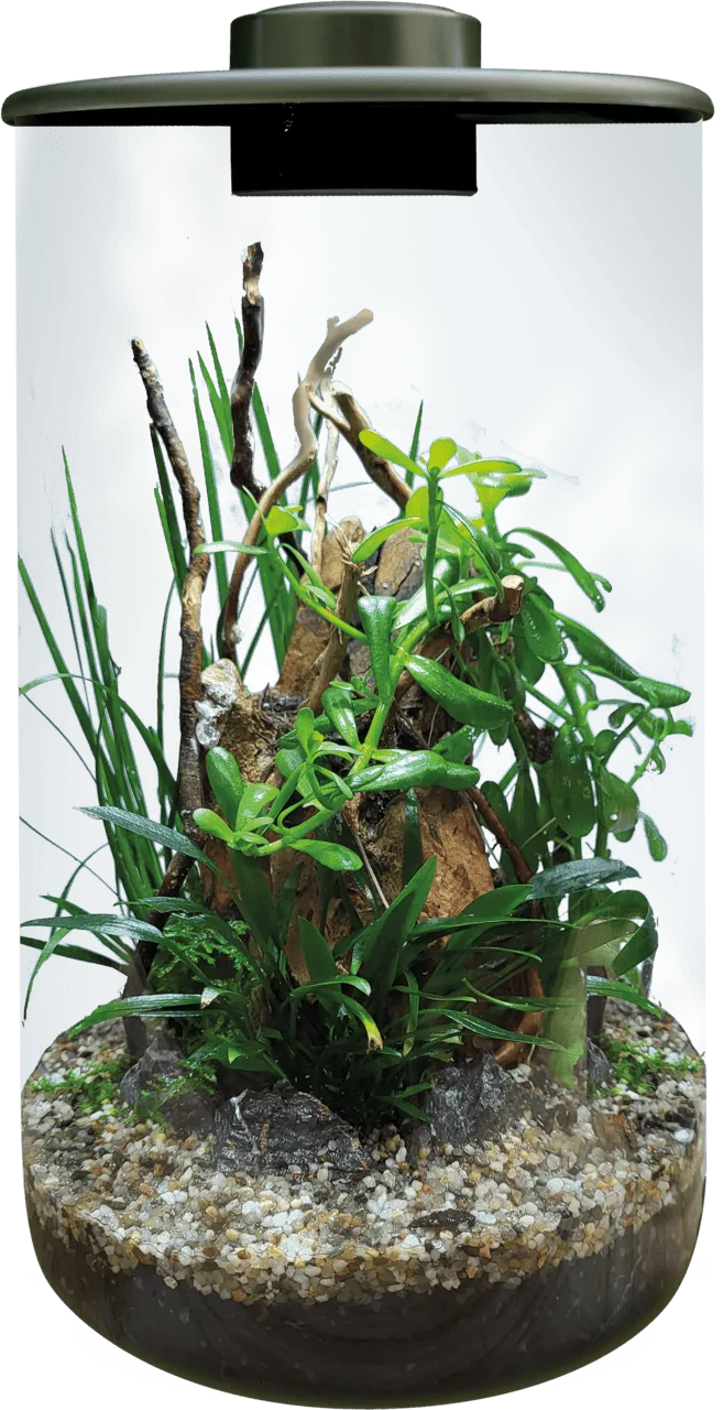 BioArt CYLINDER 285 BLACK аквариумный набор, 4 л