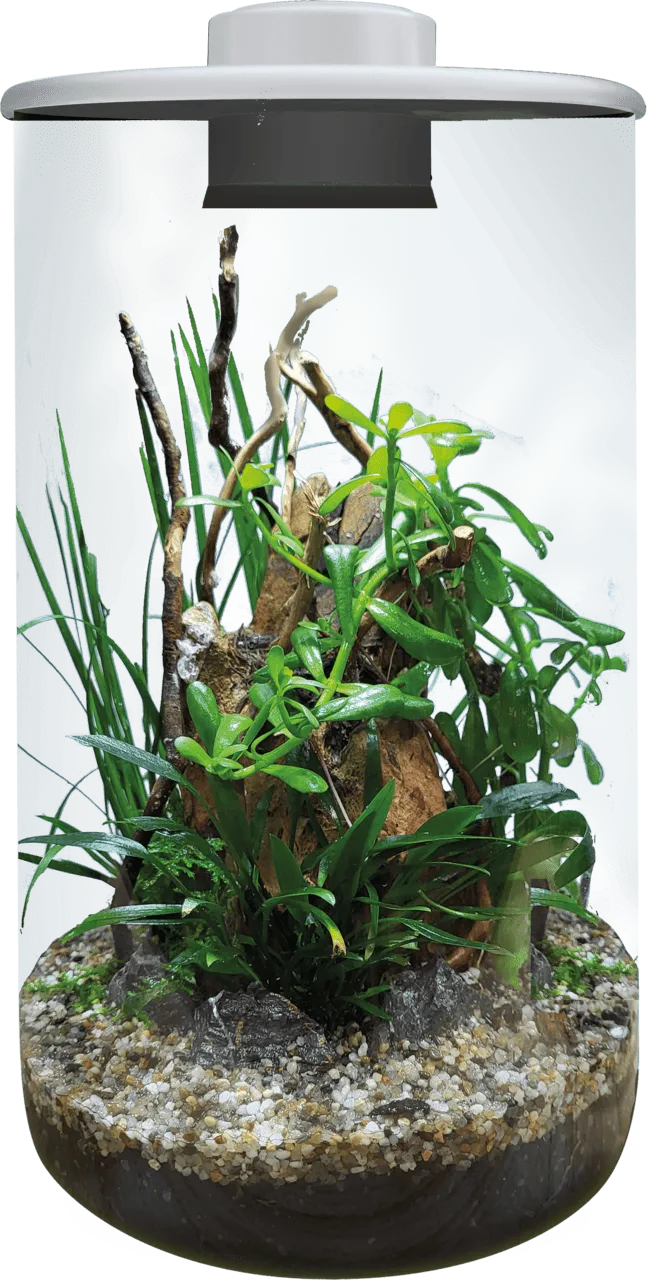 BioArt CYLINDER 285 WHITE аквариумный набор, 4 л