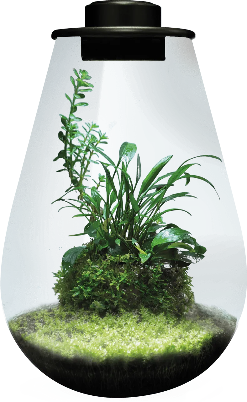 BioArt DROP 285 BLACK аквариумный набор, 5,1 л