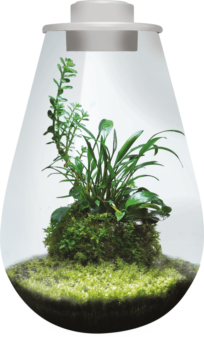 BioArt DROP 285 WHITE аквариумный набор, 5,1 л