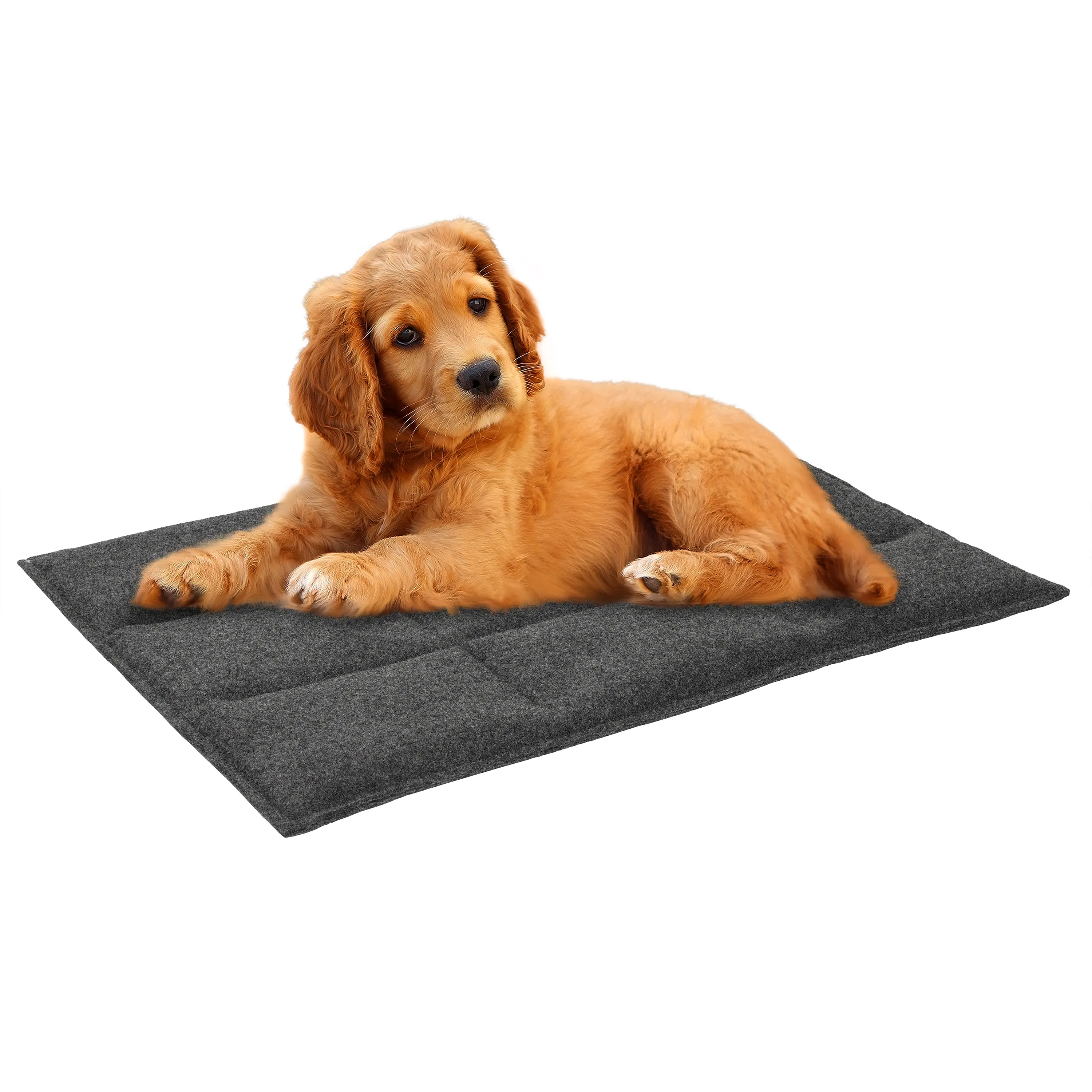 BronzeDog Коврик для домашних животных Прямоугольный Серый 2XL