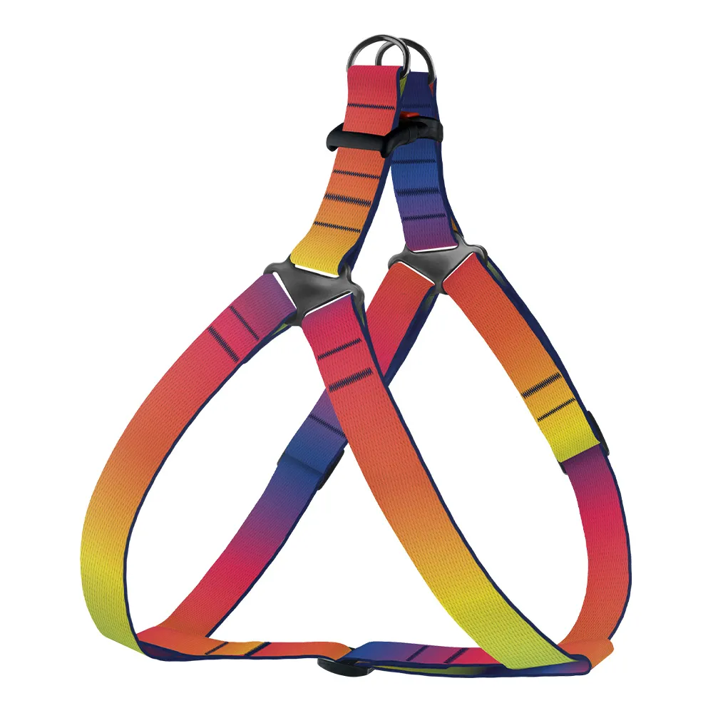 BronzeDog Urban Art Шлей для Собак Нейлоновая Градиент L