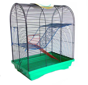 Лори Бунгало-3