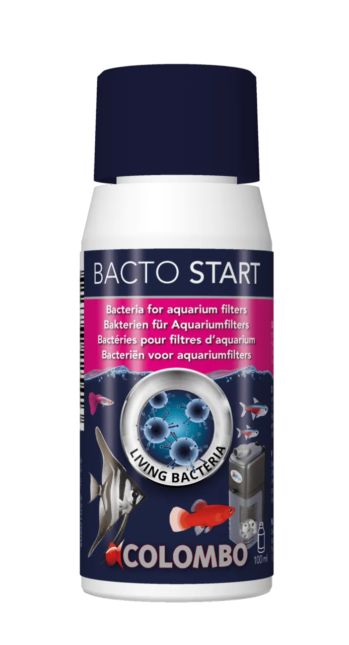 Colombo BACTO START 100 мл бактериальной культуры для аквариума