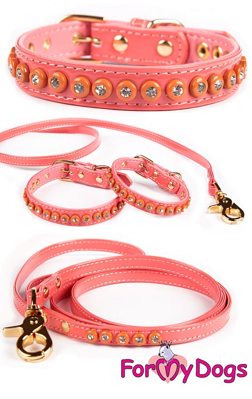 For My Dogs Ошейник и поводок для собак FMDSS10-10C