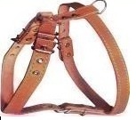 Collar - шлея одинарная для мелких и средних собак