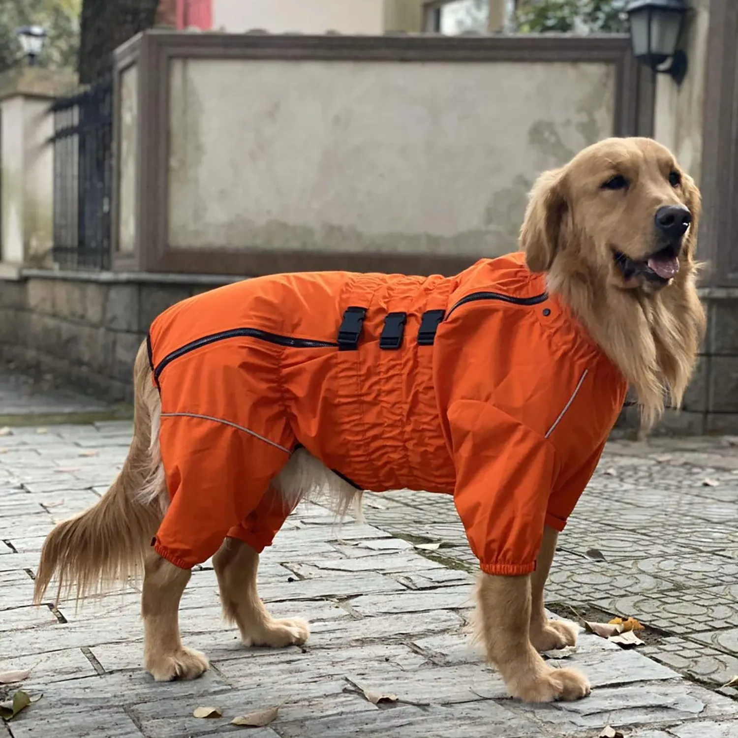Derby Dog Suit Orange D-S комбінезон-дощовик для собак, помаранчевий (Обхват шиї:31-41 см; Довжина по спинці:41-48 см; Обхват грудей:41-58 см)