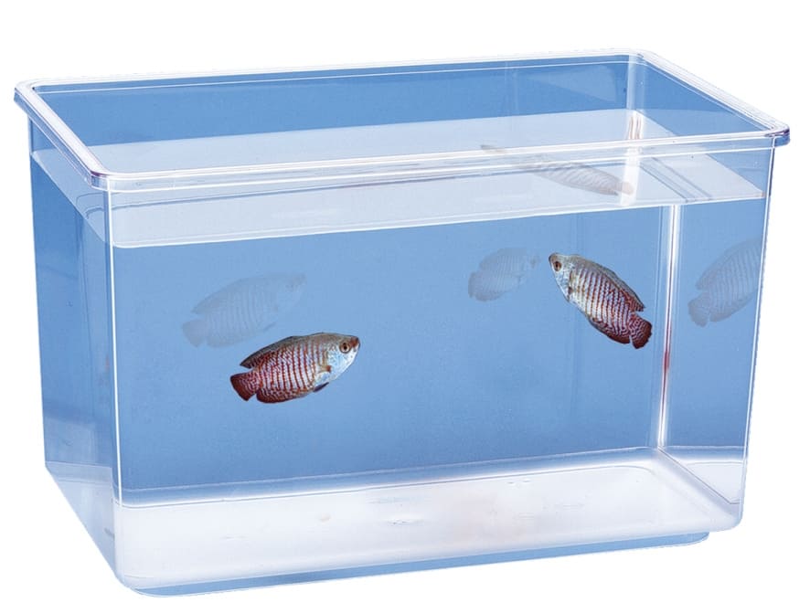 Ferplast NETTUNO LARGE - контейнер для рыб - 6л