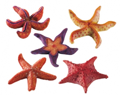 Ferplast BLU 9158 - морские звезды маленькие (8*8*2 см)