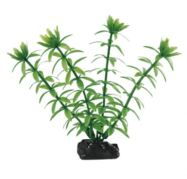 Ferplast BLU 9055 - растение пластиковое Egeria (4*10,2см)
