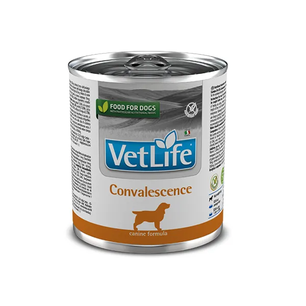 Farmina VetLife Convalescence влажный корм для собак, диета для восстановления питания и выздоровления – 300 г