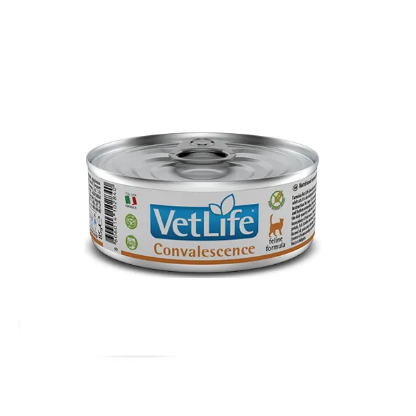 Farmina VetLife Convalescence влажный корм для кошек, диета для восстановления питания и выздоровления - 85 г