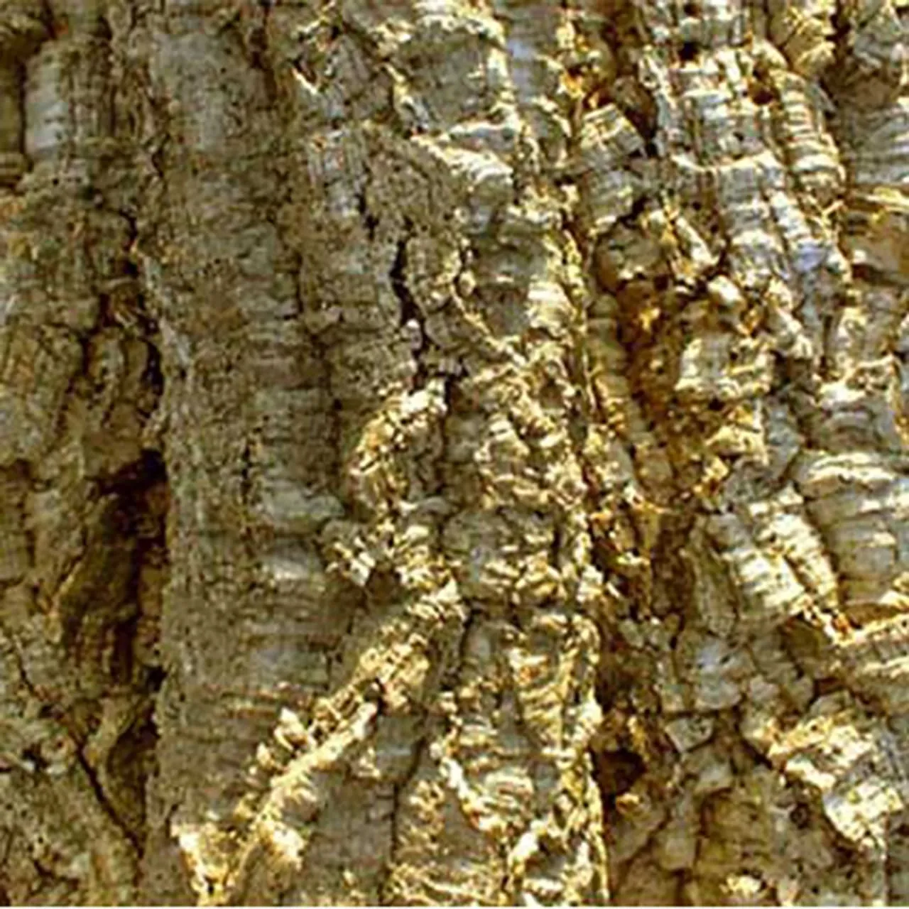 HabiStat CORK BARK 1 кг декорация для террариума