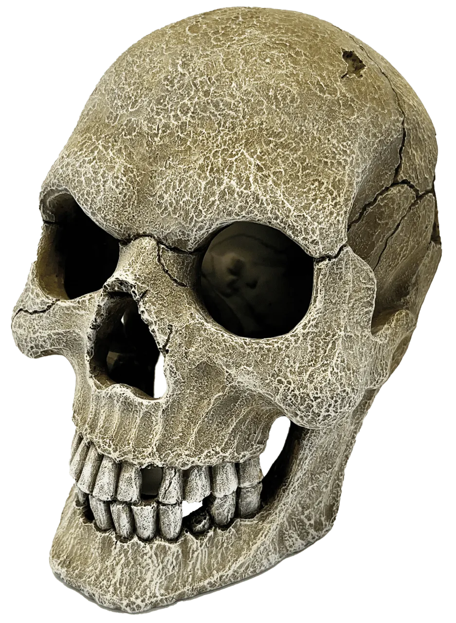 Repto DECO HUMAN SKULL XL декорация для террариума