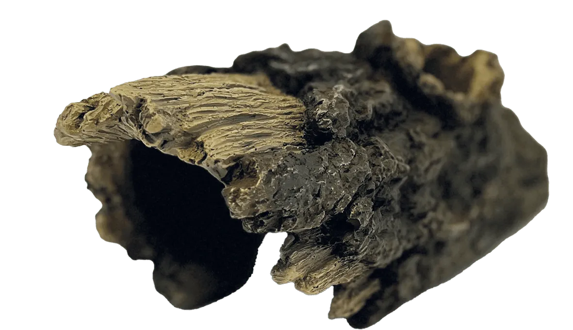 Repto DECO WOOD HOME M декорация для террариума