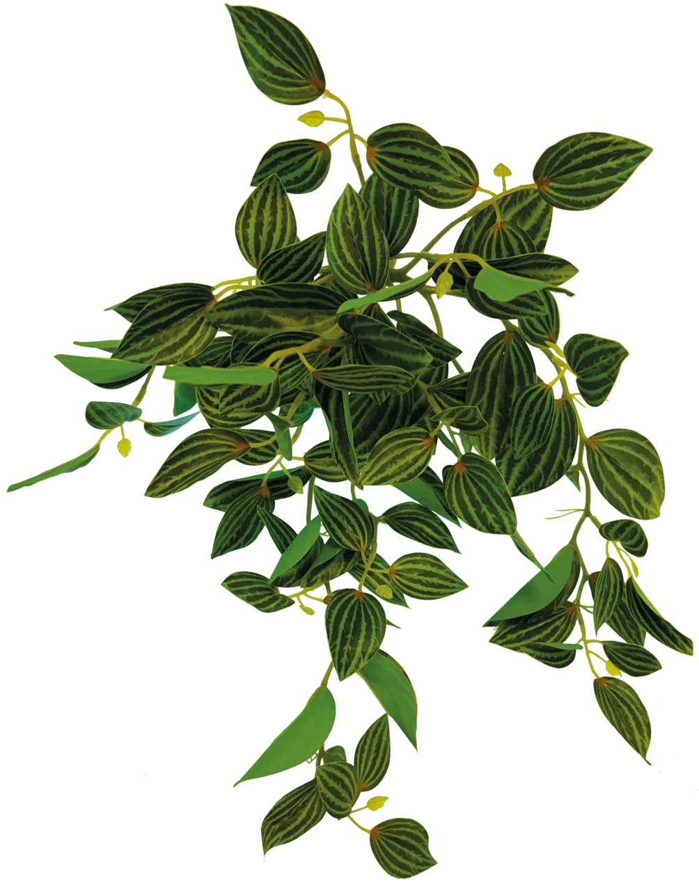 Repto PLANT HANGING GREEN 46 см искусственное растение для террариума