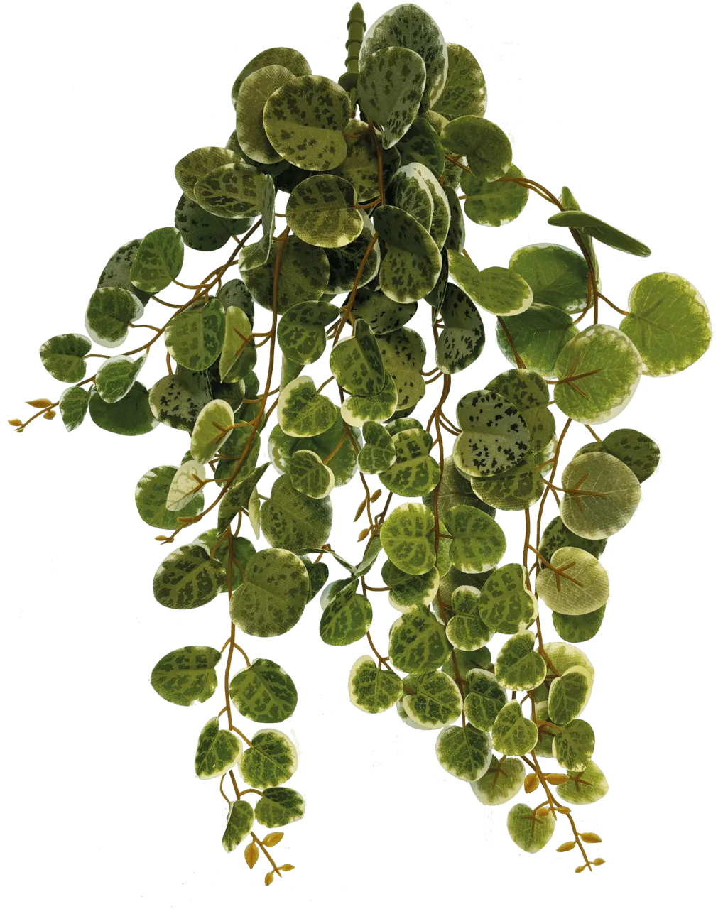 Repto PLANT HANGING ROUND LEAVES 46 см искусственное растение для террариума