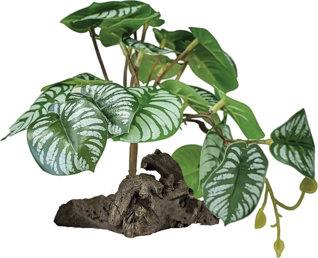 Repto PLANT ON DECO BEGONIA искусственное растение для террариума