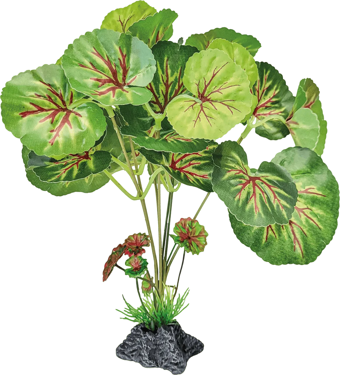 Repto PLANT STANDING ROUND LEAVES искусственное растение для террариума
