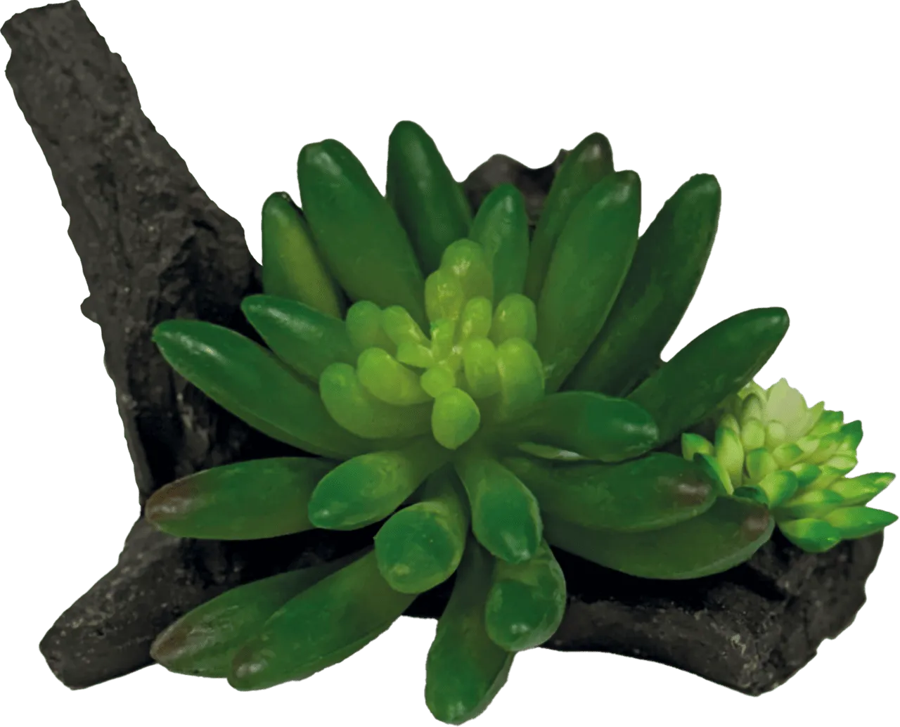 Repto PLANT SUCCULENT ON DECO искусственное растение для террариума