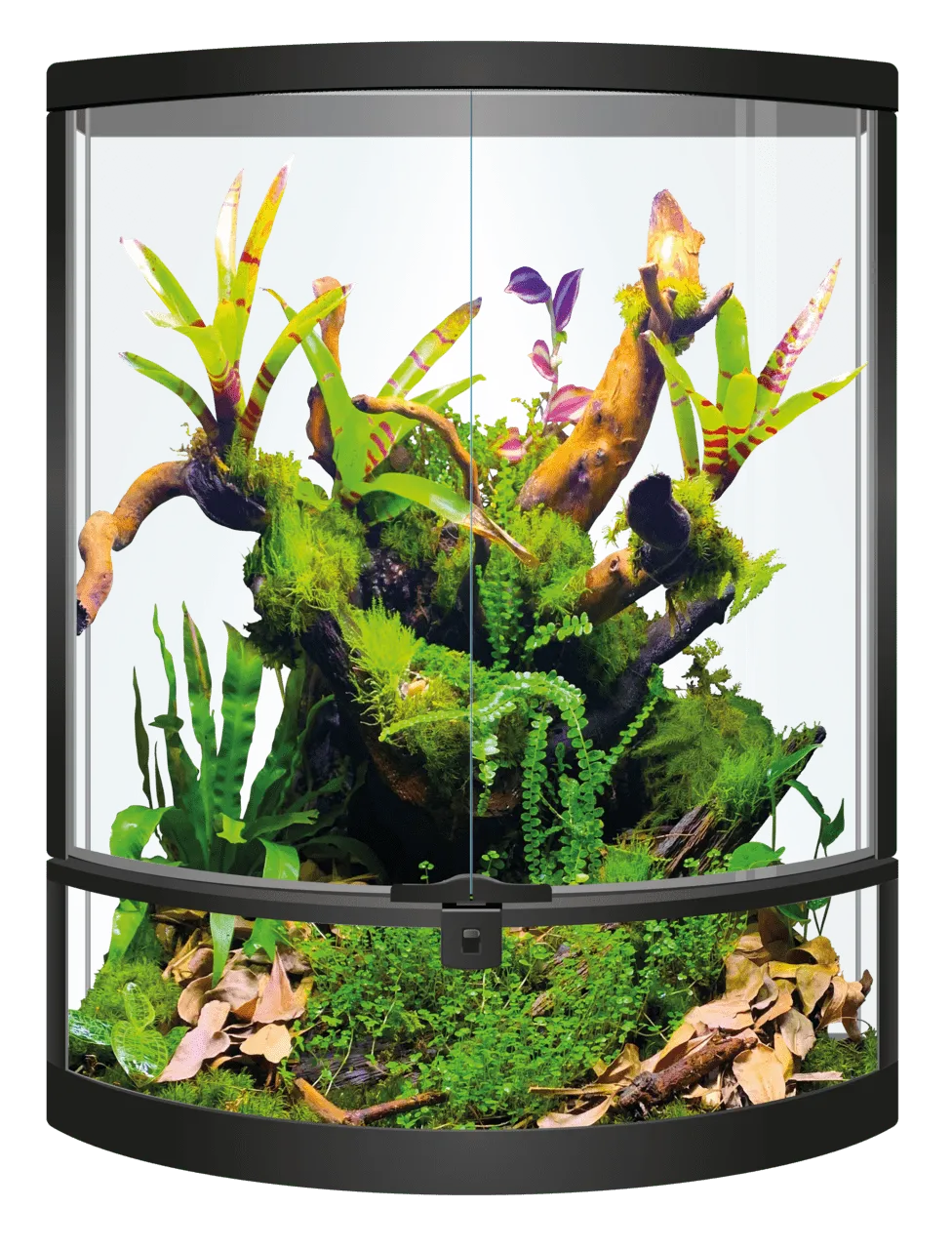 Repto Terra Half-moon півмісяць тераріум