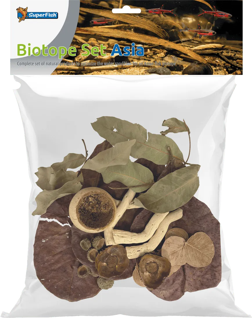 SuperFish BIOTOPE SET ASIA листья катаппы