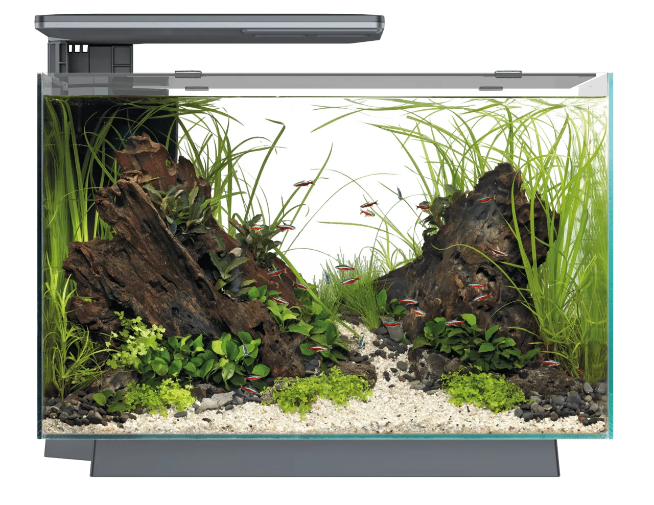 SuperFish Quadro 70 Pro Black аквариумный набор, 67 л