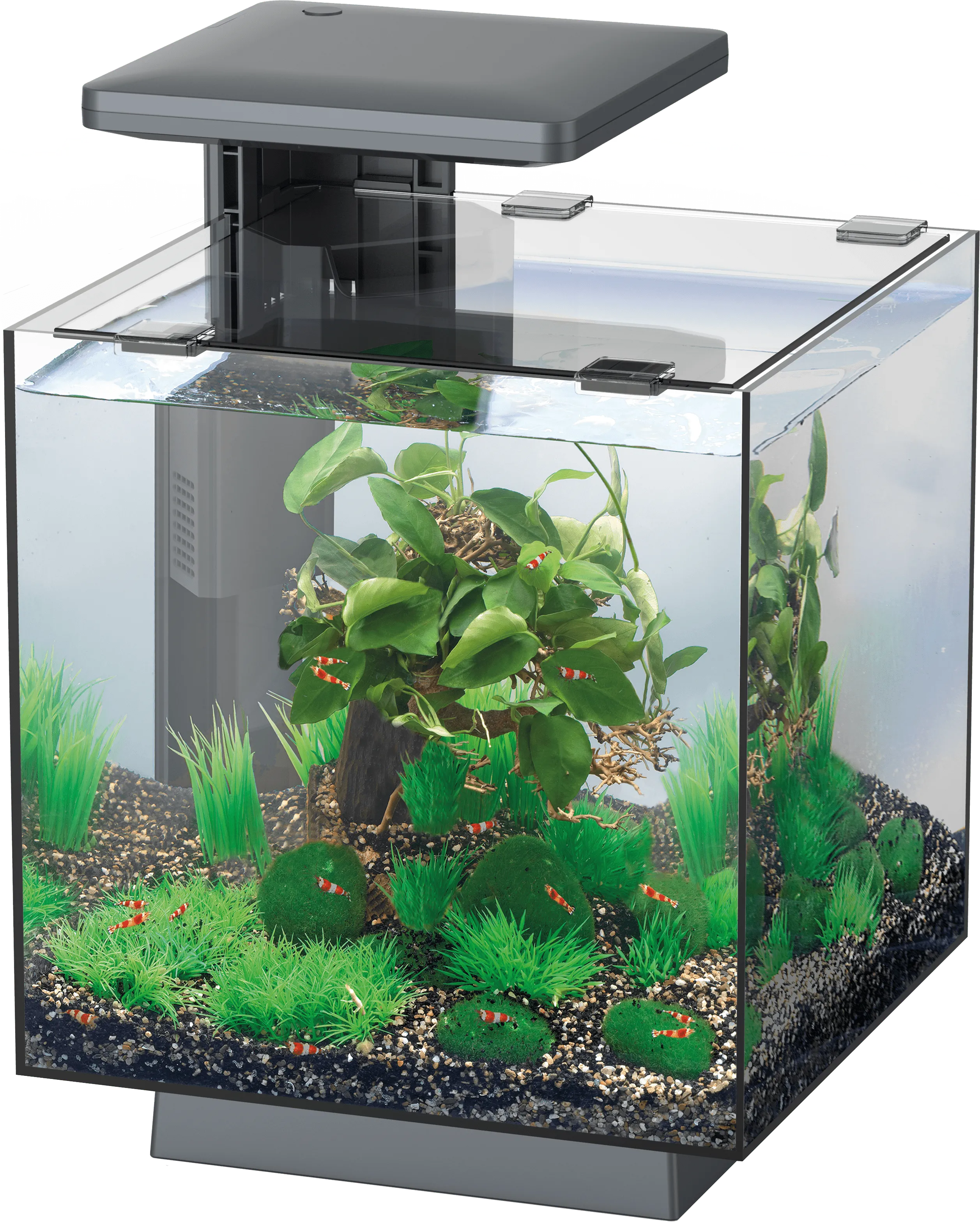 SuperFish QubiQ 15 LED Black аквариумный набор, 15 л