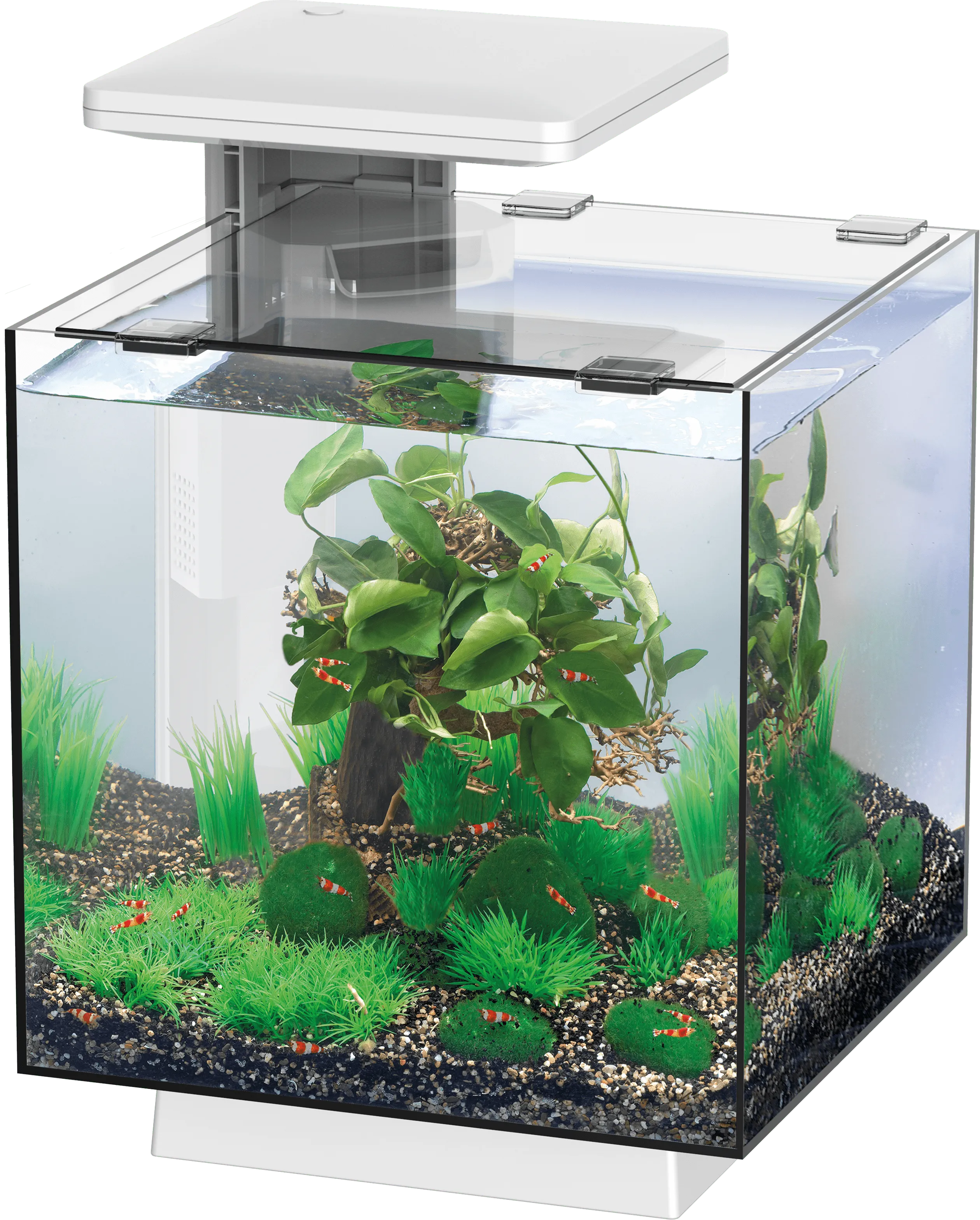 SuperFish QubiQ 15 LED White аквариумный набор, 15 л